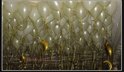 Cream & Ivory Balloon Ceiling