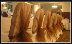 Chair Covers