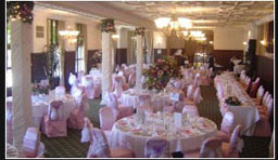 Chair Covers Picture 1
