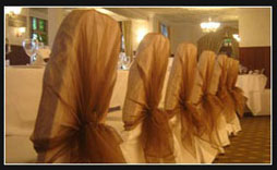 Chair Covers 2