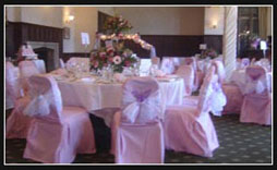 Chair Covers Photo 3